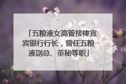 五粮液女高管接棒宜宾银行行长，曾任五粮液副总、董秘等职