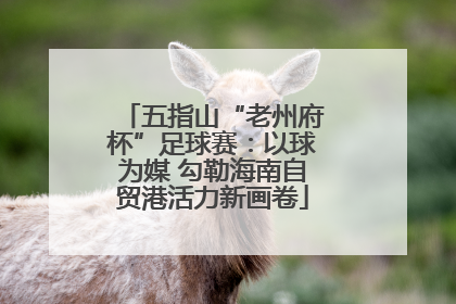 五指山“老州府杯”足球赛：以球为媒 勾勒海南自贸港活力新画卷