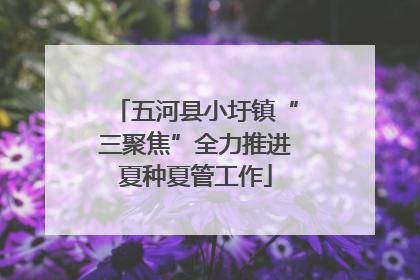 五河县小圩镇“三聚焦”全力推进夏种夏管工作