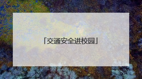 交通安全进校园