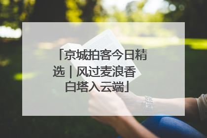京城拍客今日精选｜风过麦浪香 白塔入云端