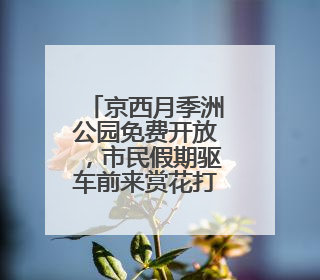 京西月季洲公园免费开放，市民假期驱车前来赏花打卡