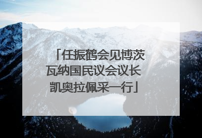 任振鹤会见博茨瓦纳国民议会议长凯奥拉佩采一行