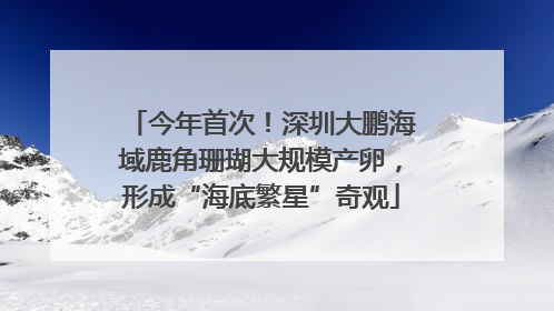 今年首次！深圳大鹏海域鹿角珊瑚大规模产卵，形成“海底繁星”奇观