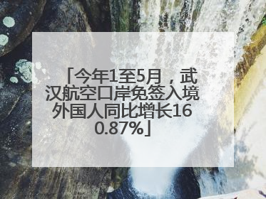 今年1至5月，武汉航空口岸免签入境外国人同比增长160.87%
