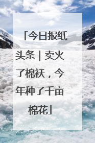 今日报纸头条｜卖火了棉袄，今年种了千亩棉花
