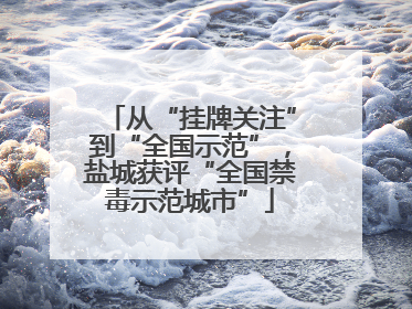 从“挂牌关注”到“全国示范”，盐城获评“全国禁毒示范城市”