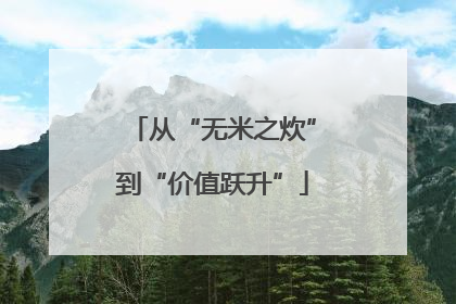 从“无米之炊”到“价值跃升”