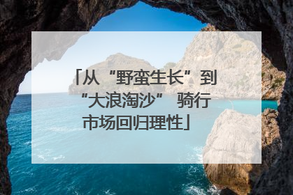 从“野蛮生长”到“大浪淘沙” 骑行市场回归理性