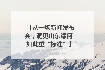 从一场新闻发布会，洞见山东缘何如此重“标准”