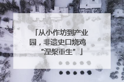 从小作坊到产业园，非遗史口烧鸡“涅槃重生”