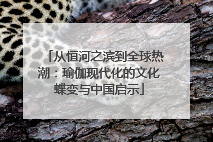 从恒河之滨到全球热潮：瑜伽现代化的文化蝶变与中国启示