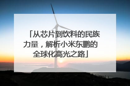 从芯片到饮料的民族力量，解析小米东鹏的全球化高光之路