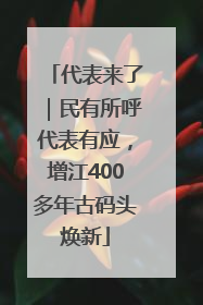 代表来了｜民有所呼代表有应，增江400多年古码头焕新