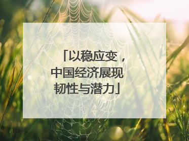 以稳应变，中国经济展现韧性与潜力