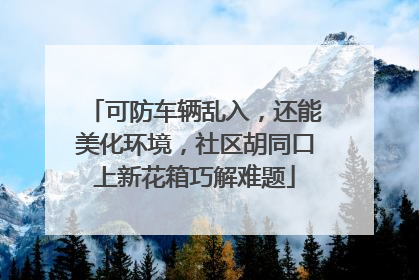 可防车辆乱入，还能美化环境，社区胡同口上新花箱巧解难题