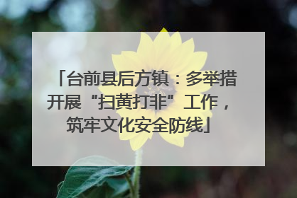 台前县后方镇：多举措开展“扫黄打非”工作，筑牢文化安全防线