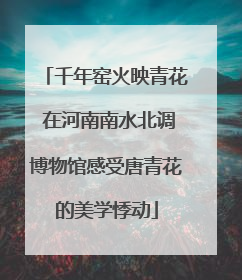 千年窑火映青花 在河南南水北调博物馆感受唐青花的美学悸动