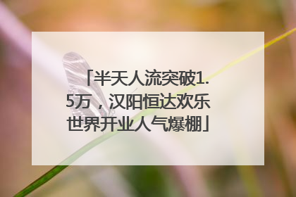 半天人流突破1.5万，汉阳恒达欢乐世界开业人气爆棚