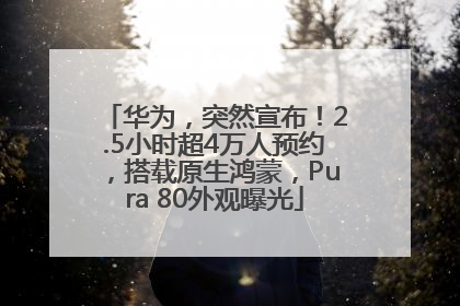华为，突然宣布！2.5小时超4万人预约，搭载原生鸿蒙，Pura 80外观曝光