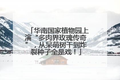 华南国家植物园上演“多肉界玫瑰传奇”，从呆萌树干到炸裂种子全是戏！