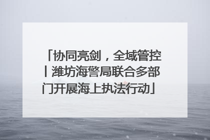 协同亮剑，全域管控丨潍坊海警局联合多部门开展海上执法行动