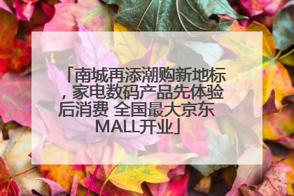 南城再添潮购新地标，家电数码产品先体验后消费 全国最大京东MALL开业