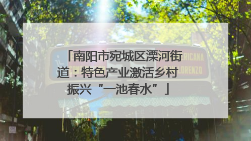 南阳市宛城区溧河街道：特色产业激活乡村振兴“一池春水”