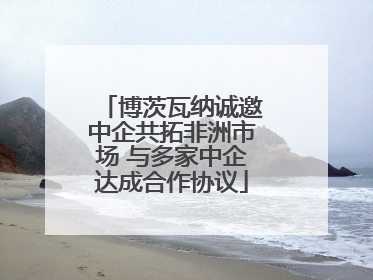 博茨瓦纳诚邀中企共拓非洲市场 与多家中企达成合作协议