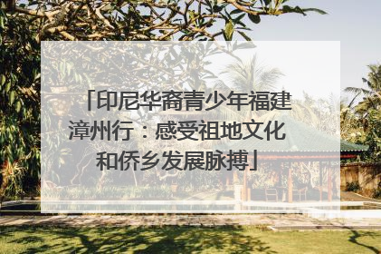 印尼华裔青少年福建漳州行：感受祖地文化和侨乡发展脉搏