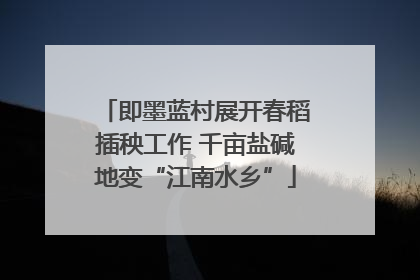 即墨蓝村展开春稻插秧工作 千亩盐碱地变“江南水乡”