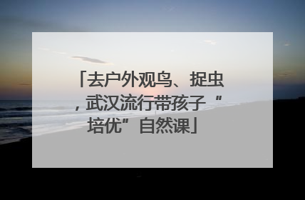 去户外观鸟、捉虫，武汉流行带孩子“培优”自然课