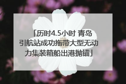 历时4.5小时 青岛引航站成功拖带大型无动力集装箱船出港抛锚