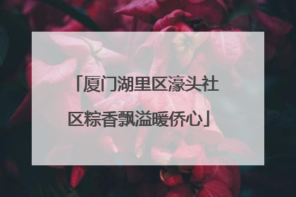 厦门湖里区濠头社区粽香飘溢暖侨心