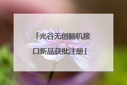 光谷无创脑机接口新品获批注册