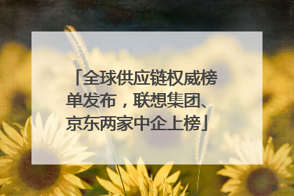 全球供应链权威榜单发布，联想集团、京东两家中企上榜