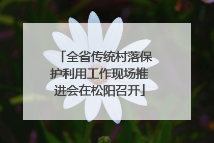 全省传统村落保护利用工作现场推进会在松阳召开