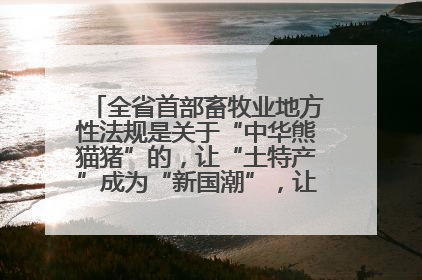 全省首部畜牧业地方性法规是关于“中华熊猫猪”的，让“土特产”成为“新国潮”，让“农产品”升格为“城市IP”