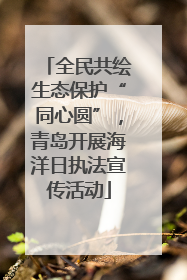 全民共绘生态保护“同心圆”，青岛开展海洋日执法宣传活动