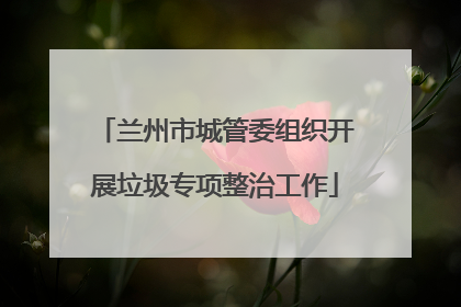 兰州市城管委组织开展垃圾专项整治工作