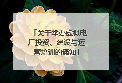 关于举办虚拟电厂投资、建设与运营培训的通知