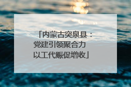 内蒙古突泉县：党建引领聚合力 以工代赈促增收