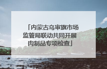 内蒙古乌审旗市场监管局联动共同开展肉制品专项检查