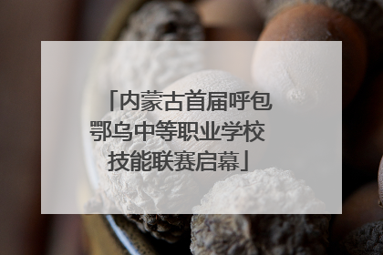 内蒙古首届呼包鄂乌中等职业学校技能联赛启幕