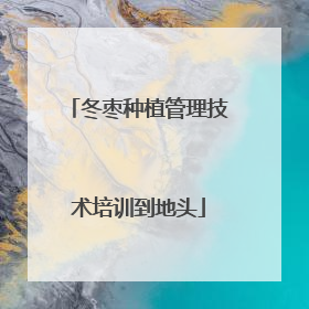 冬枣种植管理技术培训到地头