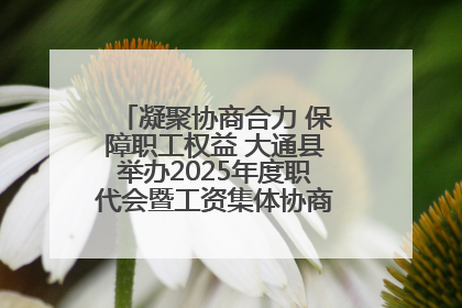 凝聚协商合力 保障职工权益 大通县举办2025年度职代会暨工资集体协商现场观摩交流活动