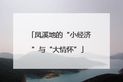 凤溪地的“小经济”与“大情怀”