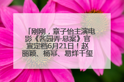 刚刚，章子怡主演电影《酱园弄·悬案》官宣定档6月21日！赵丽颖、杨幂、易烊千玺等角色海报曝光