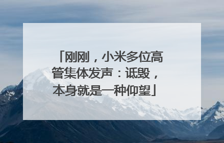 刚刚，小米多位高管集体发声：诋毁，本身就是一种仰望