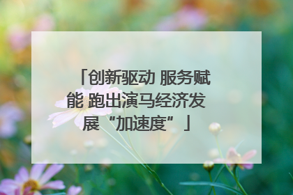 创新驱动 服务赋能 跑出演马经济发展“加速度”
